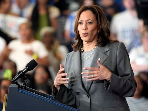 Trump campaign is preparing to go to battle with Kamala Harris in 2024 campaign if Biden leaves: report