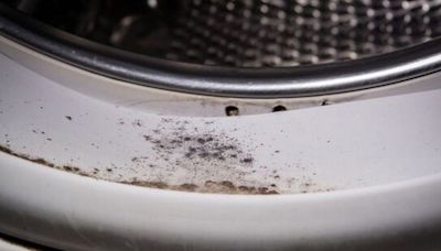 The 35p kitchen staple to get rid of washing machine black mould