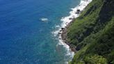 Descubren una criatura marina de ‘gran tamaño’ con 240 tentáculos en la costa de Japón