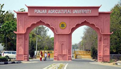 Punjab Agricultural University VC moots diversification of crops to boost income