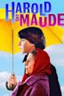 Harold et Maude