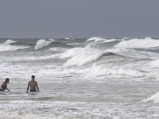 14-Year-Old Boy Dives into the Water – and Gets Bitten After Landing on a Shark