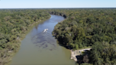 Georgia pulp mill accused of polluting Altamaha River. How is the state responding?