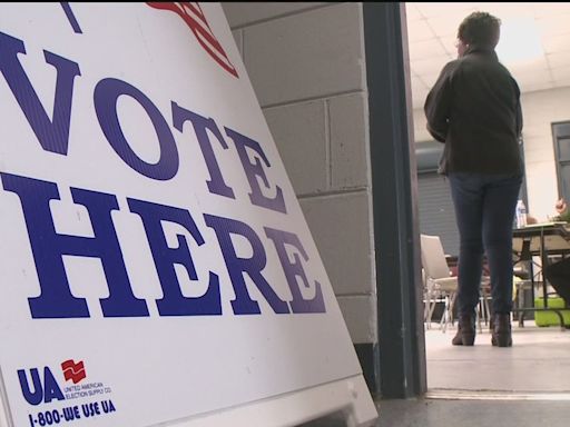 2024 Georgia Primary June 18 runoff: Who's on the ballot