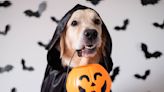 ‘Halfway to Halloween’ themed event to benefit dog rescue at Westside Bowl