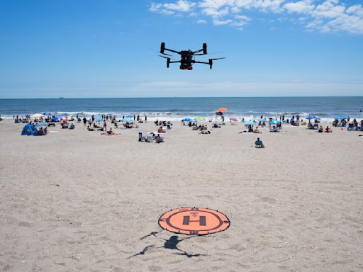 On NYC beaches, angry birds are fighting drones on patrol for sharks and swimmers