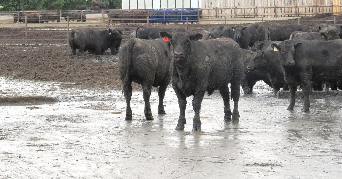 USDA offers disaster assistance to Iowa ag producers impacted by flooding