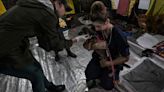 Resgate e abrigos de animais no RS vão de coelho a calopsita; veja relatos e vídeo de voluntários