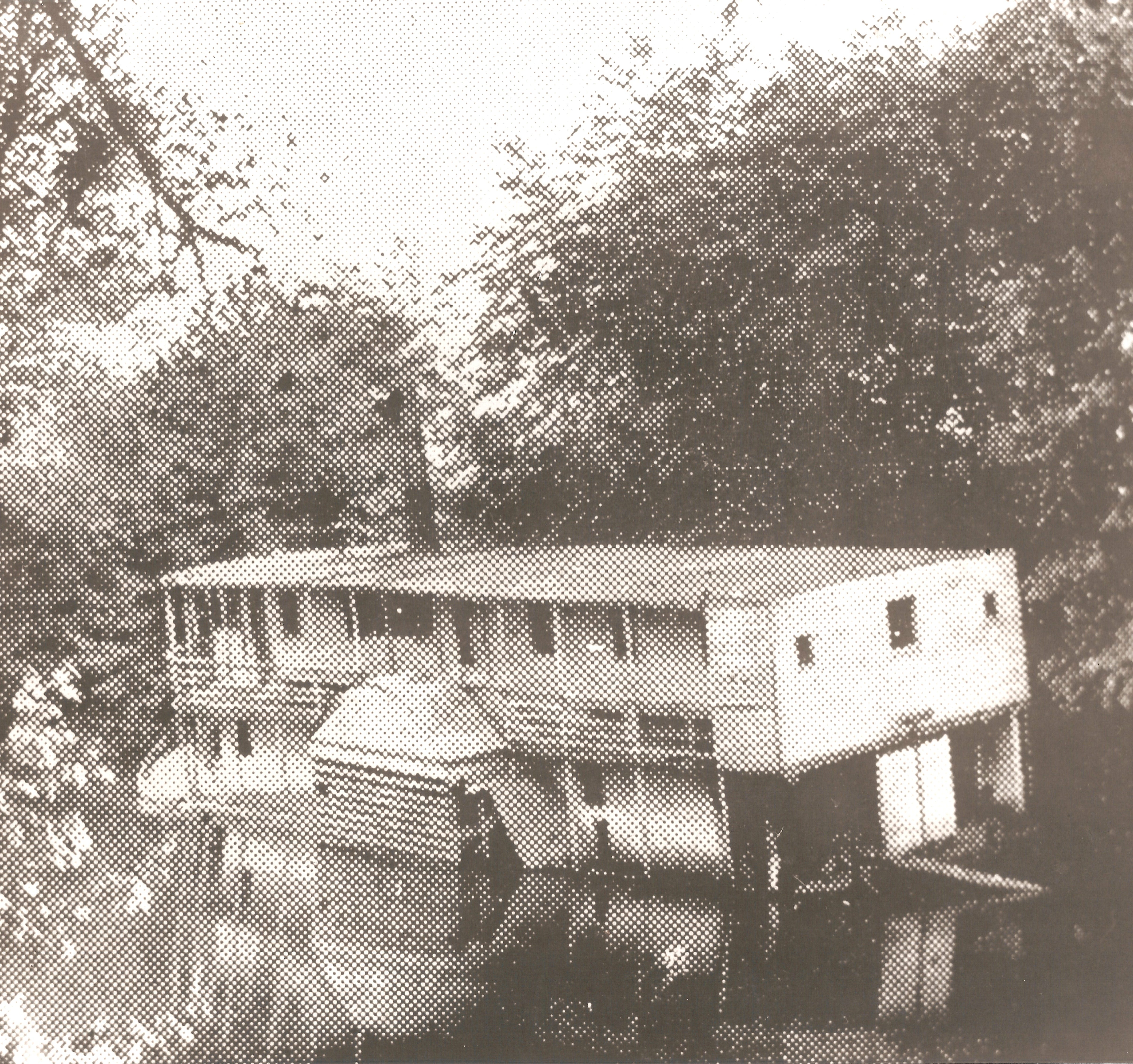 WNC History: Steamboat Mountain Lily cruised the French Broad River 1881-85