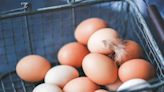 PFAS : des polluants éternels retrouvés dans des œufs français