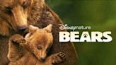 Bears: Where to Watch & Stream Online