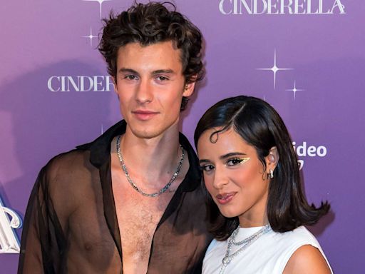 Shawn Mendes and Camila Cabello Spotted Together at Miami Soccer Game — but Are They Back On?