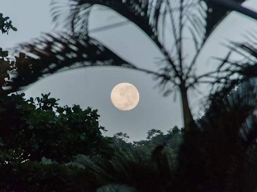 A celestial celebration: Moon Day in Kolkata | undefined Movie News - Times of India