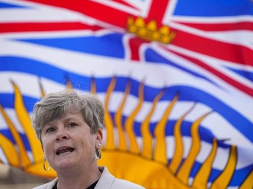 Vancouver Island to see $3B in BC Hydro upgrades, expansion over the next decade