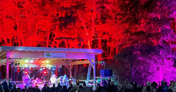 Gabis Arboretum's Acorn concert series includes tributes to Grateful Dead, Elton John, Jimmy Buffet and Dave Matthews Band