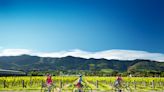 The best cycling trails in New Zealand for spring and autumn