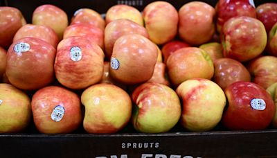‘$7 to Buy an Apple?’ – Fruit Purchase Sends Shopper Into Intense Meltdown That Goes Viral