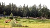 Trees, former golf facility cleared as work begins on major Central Kitsap housing project