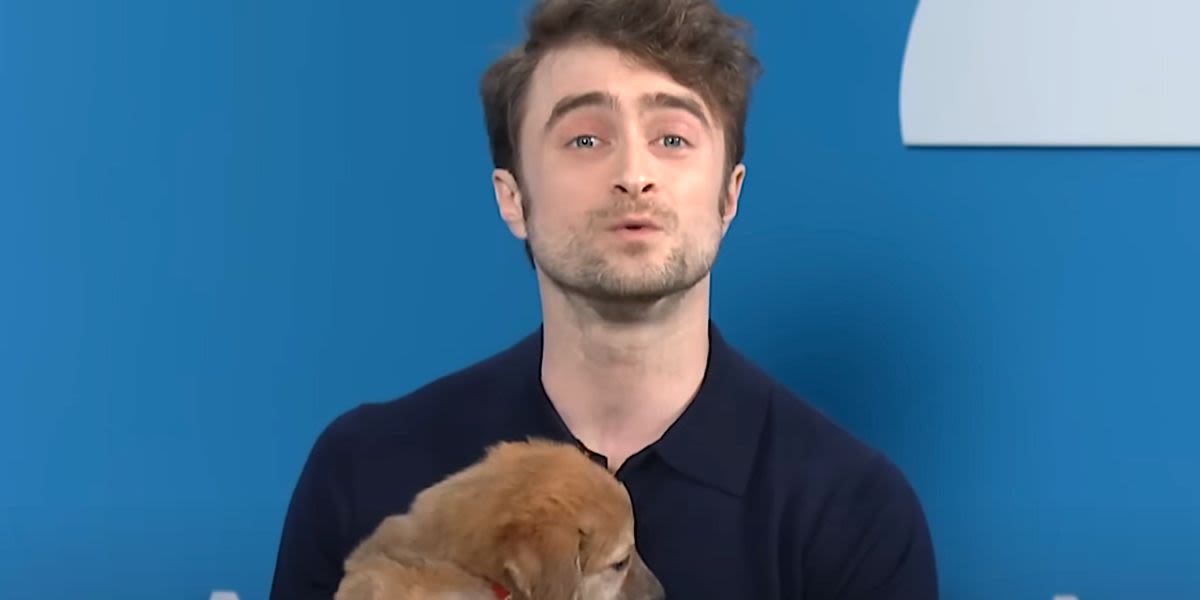 Watch Daniel Radcliffe Sell You On Rescue Pups With Harry Potter Shtick