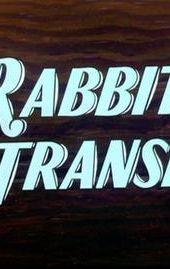 Rabbit Transit