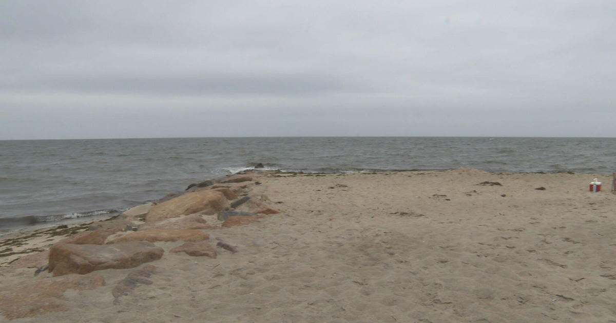 Cape Cod beach-goers say they're not worried about sharks