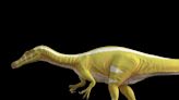 En España y Marruecos: descubren dos nuevas especies de dinosaurios; uno tenía dientes con forma de “destornillador”