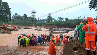 Wayanad Landslides: Kerala High Court Wants 'Holistic Approach' In Development