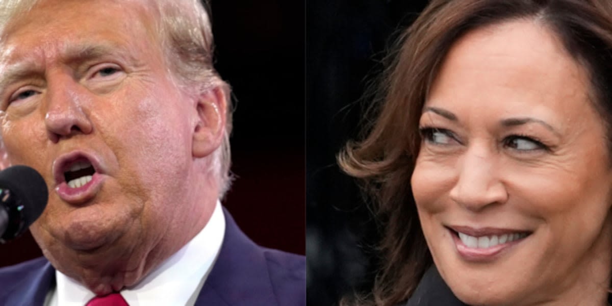 NEW POLL: What new numbers say about Harris vs Trump in Florida