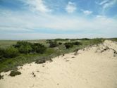 Amagansett National Wildlife Refuge