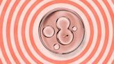 America’s IVF Failure