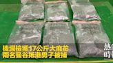 機場檢獲17公斤大麻花 兩名曼谷抵港男子被捕