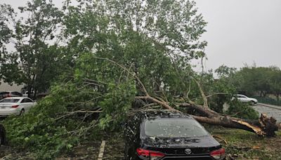 Tallahassee residents share photos of damage from May 10 storm