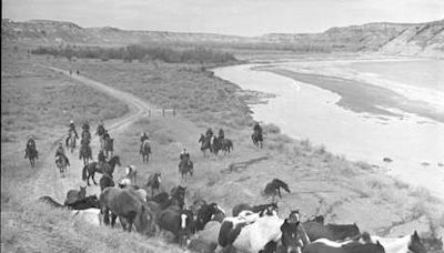 The 'last roundup' corralled North Dakota wild horses