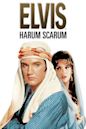 Harum Scarum (film)