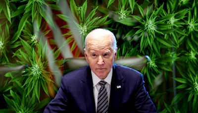 To galvanize voters, the Biden Administration must reject half-step on marijuana reform