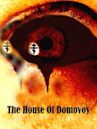 The House of Domovoy