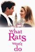 What Rats Won't Do