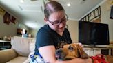 ‘Nationwide crisis’: Facing lower adoption rates, some shelters reconsidering euthanasia policies