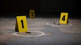 Homes shot up, dozens of shell casings found after shooting, police say