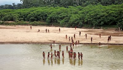 Uncontacted Tribe Shown "Dangerously Close" To Logging Areas In New Footage