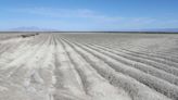 Importing water to save the Salton Sea is long overdue. What are we waiting for?