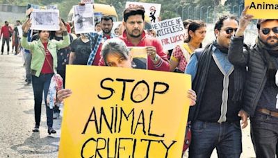 Mumbai activists struggle to file animal sexual assault cases under BNS