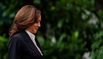 Desde tecnología a cambio climático: ¿Cuál es la postura de Kamala Harris con las empresas? - La Tercera