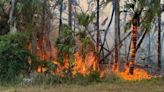 Large brush fire causing evacuations in North Port: Officials