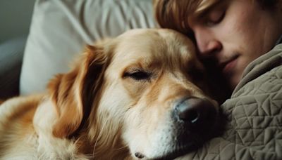 ¿Qué significa que mi perro duerma a mi lado?