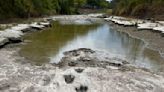New dinosaur tracks uncovered in Texas after severe drought dries up river