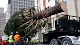 NYC's Rockefeller Christmas Tree Is Repurposed After the Holidays