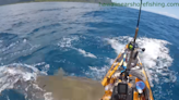 Kayaker captures dramatic video of shark attack in Hawaii