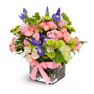 A vibrant and diverse arrangement combining an assortment of flowers such as roses, lilies, daisies, and more. Mixed bouquets offer a delightful burst of colors and textures, making them versatile for various occasions.