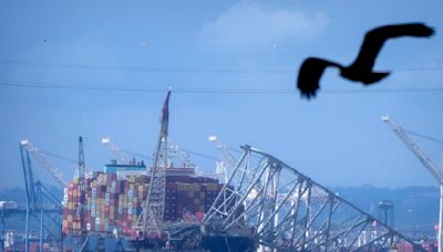 Controlled demolition at Baltimore bridge collapse site postponed due to weather